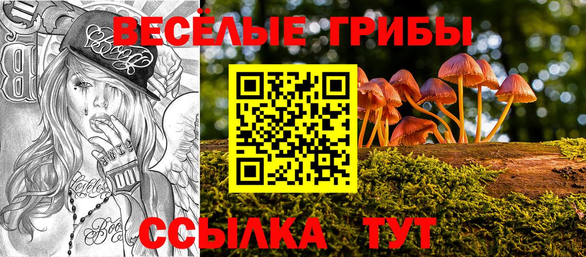 Галлюциногенные грибы GOLDEN TEACHER  Вход с VPN  Муром  Галлюциногенные грибы ЛСД 